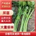 安徽砀山精品西芹。货源充足保质保量。直供商超各大市场