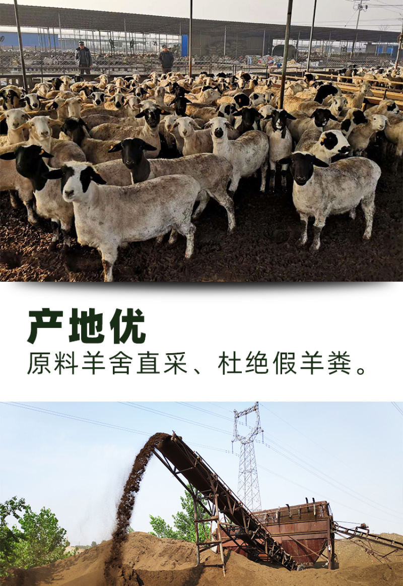 发酵羊粪肥农家有机肥料茂丰肥业厂家直销各种有机肥料