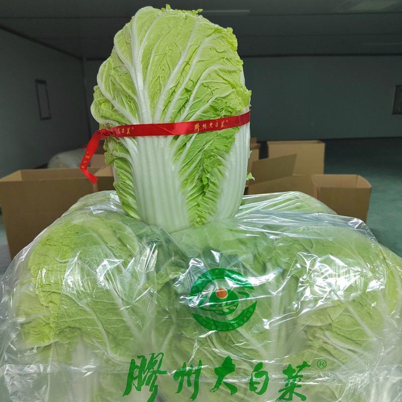 胶州大白菜**