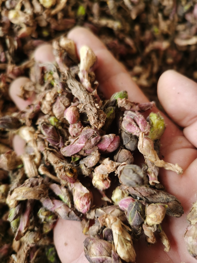 款冬花新货款冬花颜色好无杂质批发零售