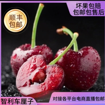 对接淘宝京东直播私域团购包邮包售后
