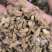 百部中药材批发百部质量保证量大从优