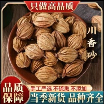 【品质优选】优质无硫净货香砂，香砂仁，可供实体店批发零售