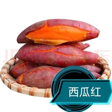 新鲜沙地蜜薯糖心红薯西瓜红番薯红心甜糯一件代发