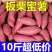 新鲜沙地蜜薯糖心红薯西瓜红番薯红心甜糯一件代发