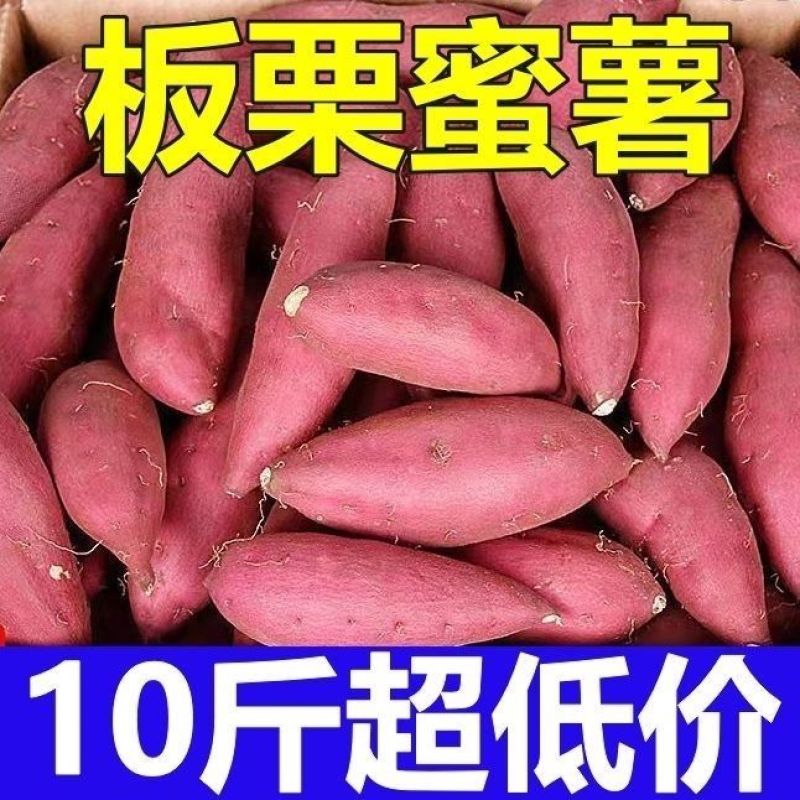新鲜沙地蜜薯糖心红薯西瓜红番薯红心甜糯一件代发