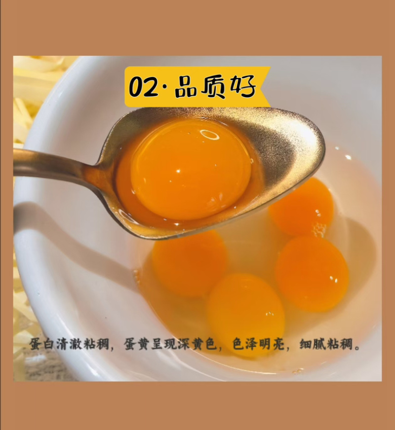 沂蒙山鲜鸽子蛋基地现捡现发品质可靠货源充足
