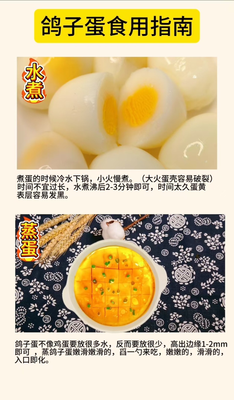 沂蒙山鲜鸽子蛋基地现捡现发品质可靠货源充足