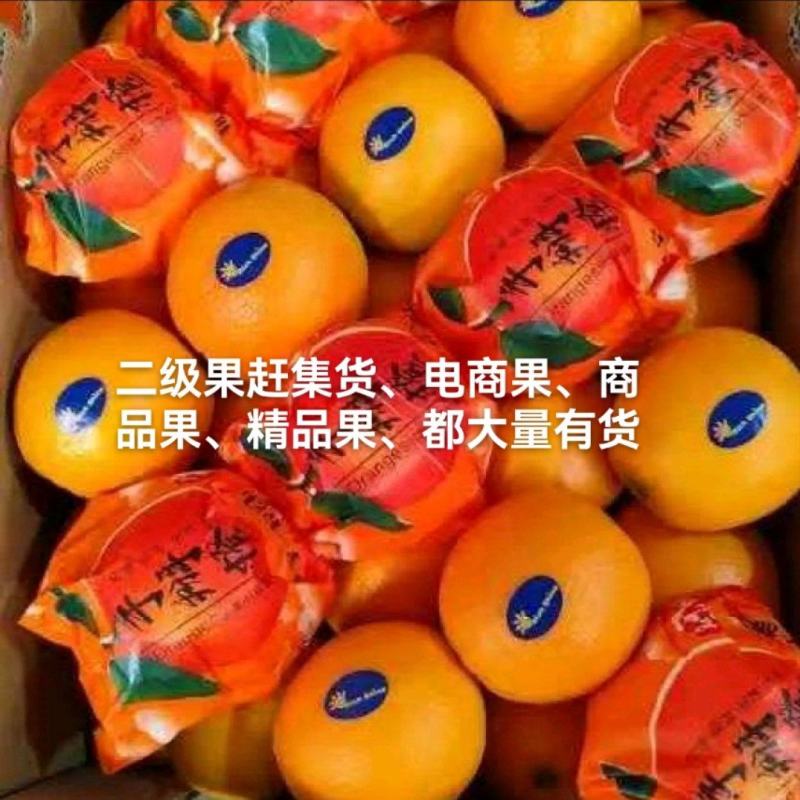 纽荷尔脐橙中华红橙/保质保量，坏烂果无理由先行赔付