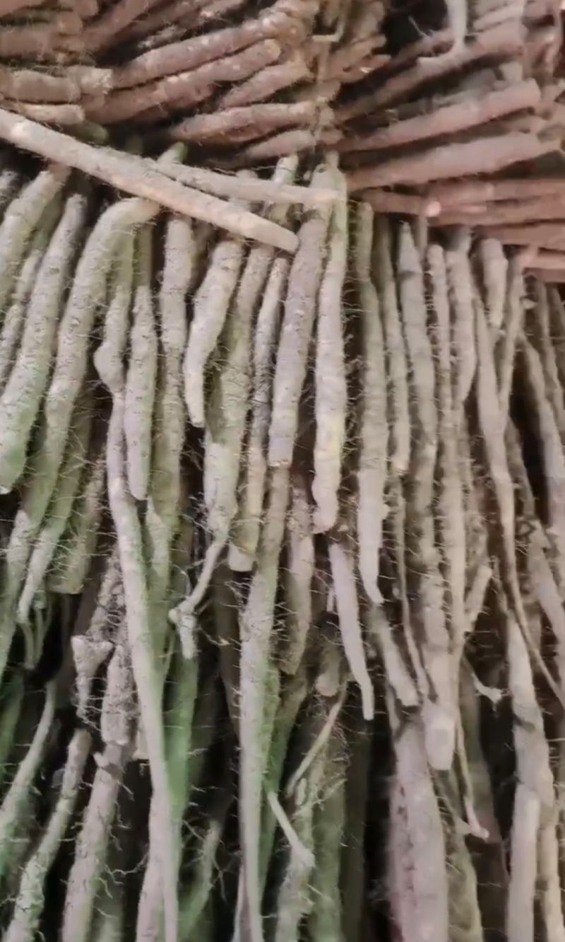 河北山药小白嘴白山药残次货断山药品质保证欢迎联
