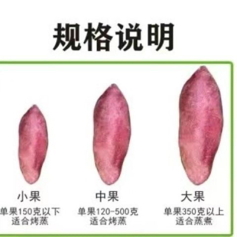 西瓜红香薯新鲜软糯香甜正宗红心农产品食用皮薄原生态低脂肪