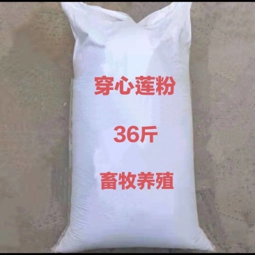 穿心莲粉兽用养殖猪牛羊鸡鸭鹅饲料专用穿心莲畜牧禽穿心莲粉