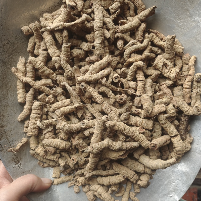 巴戟肉，巴戟天，选货统货两种规格，一手货源，欢迎订购