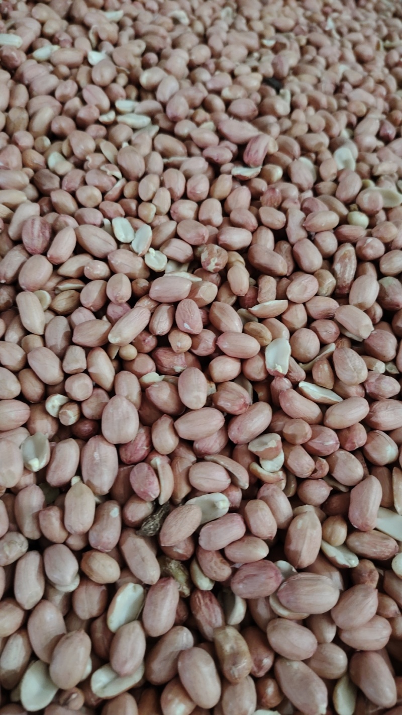 鲁花通货农户一手货源