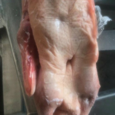 二级白条鸭