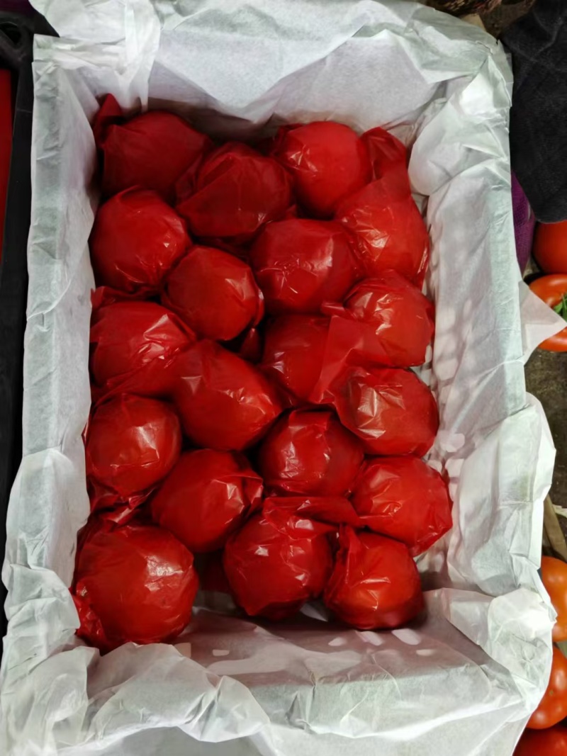 寿光精品高通通货食堂货毛粉西红柿