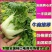 【便宜推荐】乌塌菜黄心菜新鲜现发价格便宜