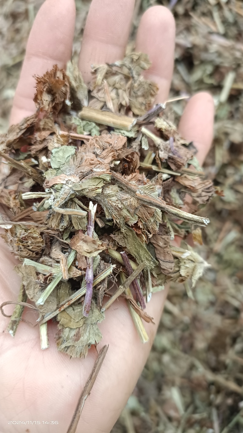 夏枯草，过筛新货全草，货源充足，全国发货