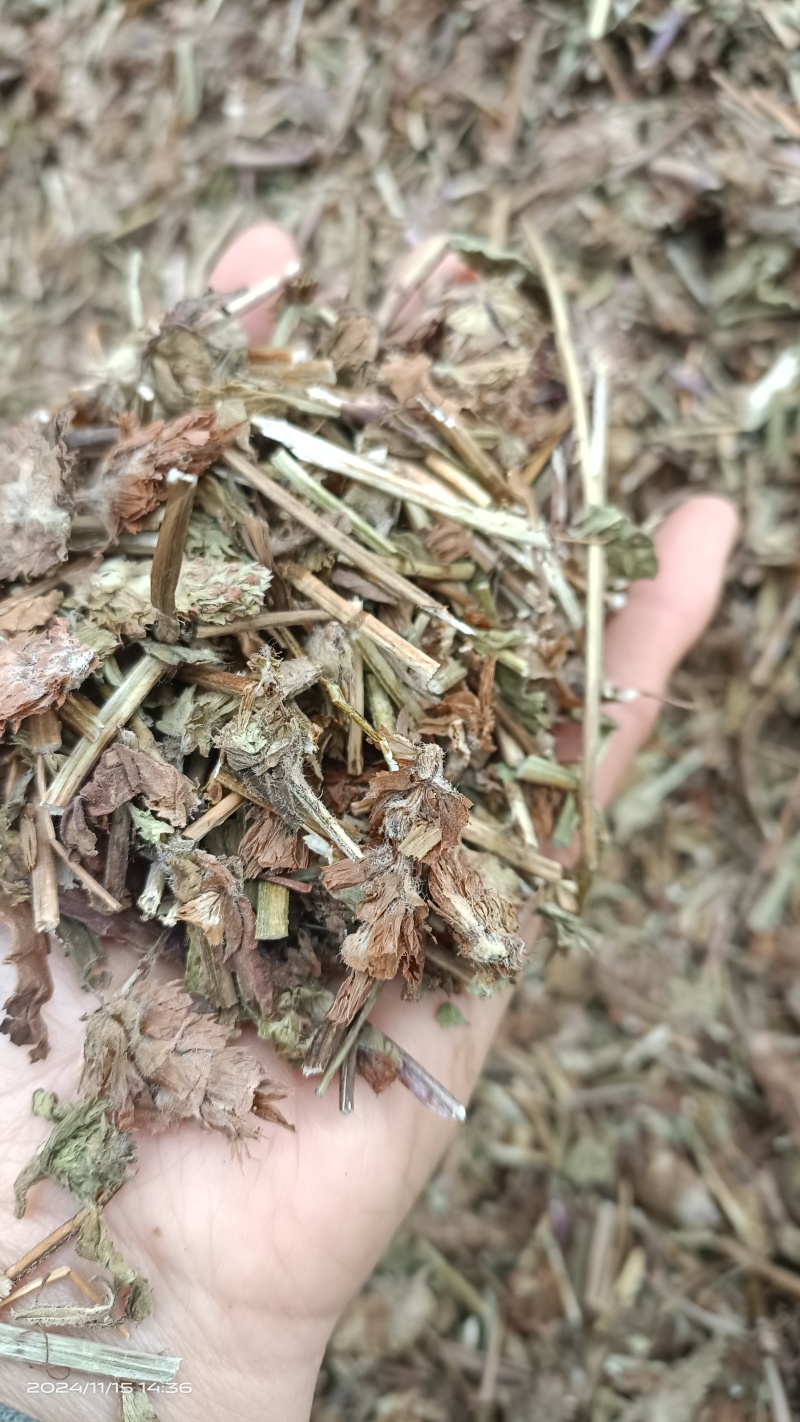 夏枯草，过筛新货全草，货源充足，全国发货