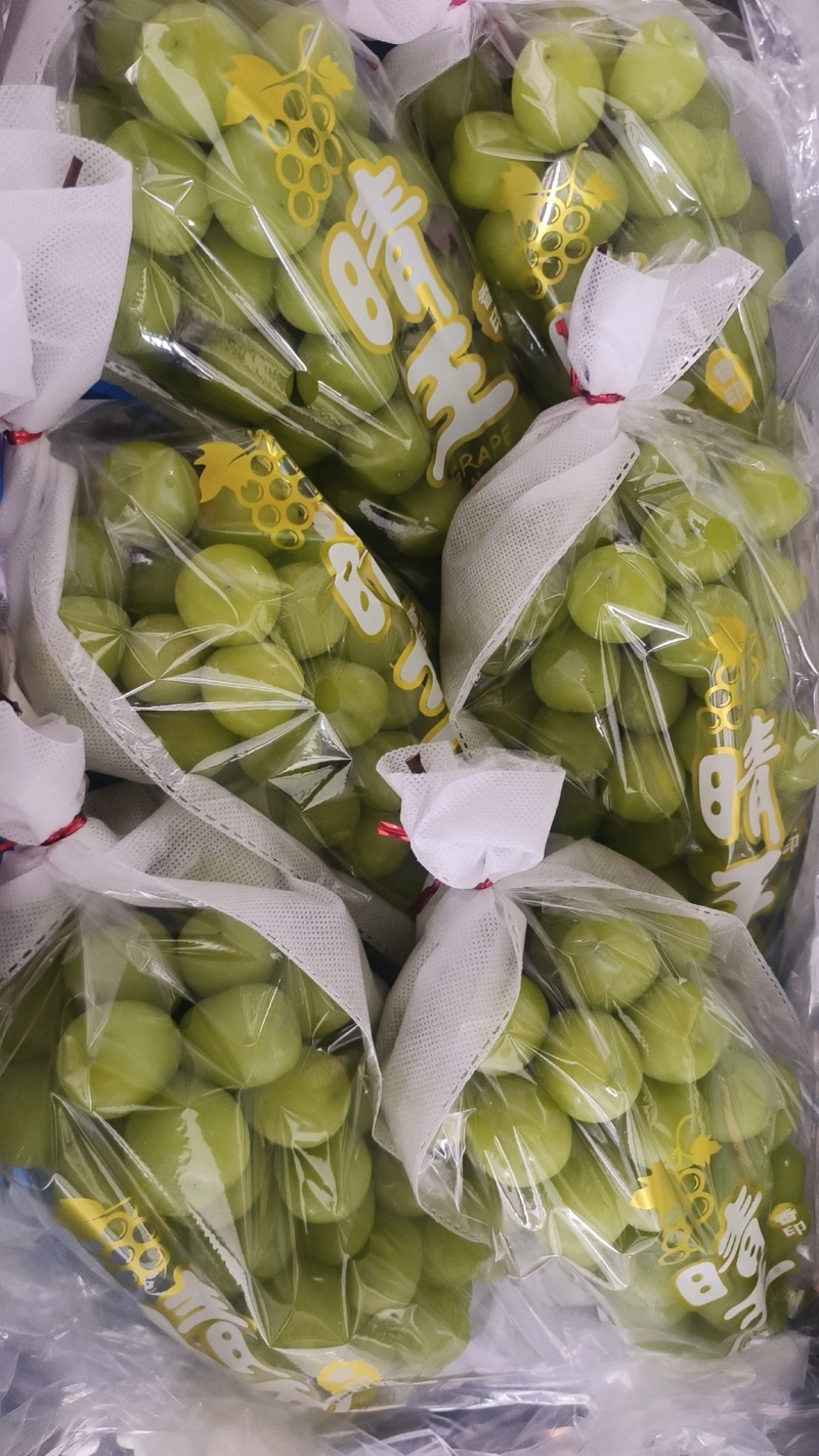 阳光玫瑰一级