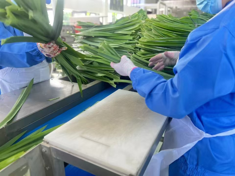 海南斑斓（香露兜叶），糕点原料，冰激凌原料。