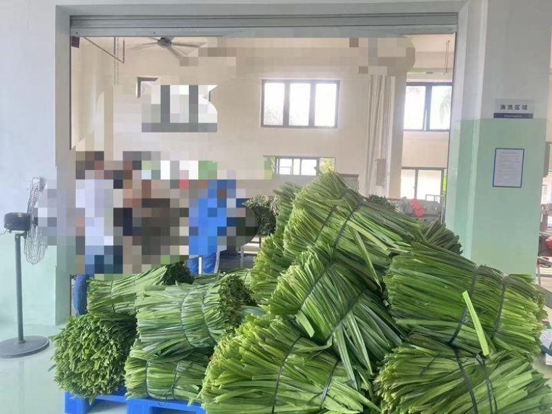 海南斑斓（香露兜叶），糕点原料，冰激凌原料。