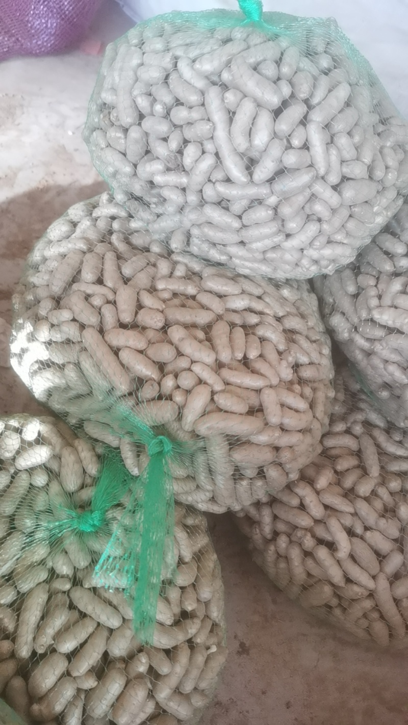 小白嘴山药豆2cm以上500斤装散单咨询
