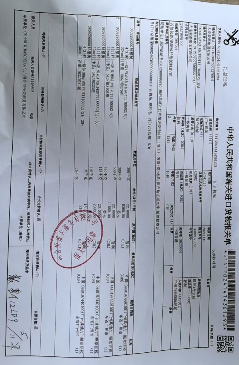 雷尼尔车厘子广州江南市场源头直发一手货源全品类全规格现货