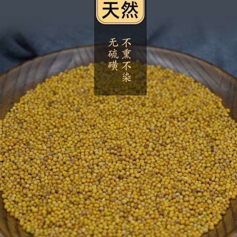 中药材黄介子新货各种规格欢迎洽谈大货批发零售