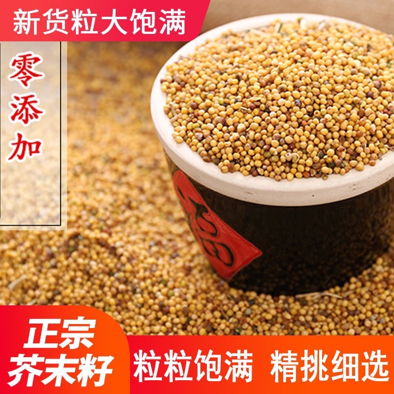 中药材黄介子新货各种规格欢迎洽谈大货批发零售