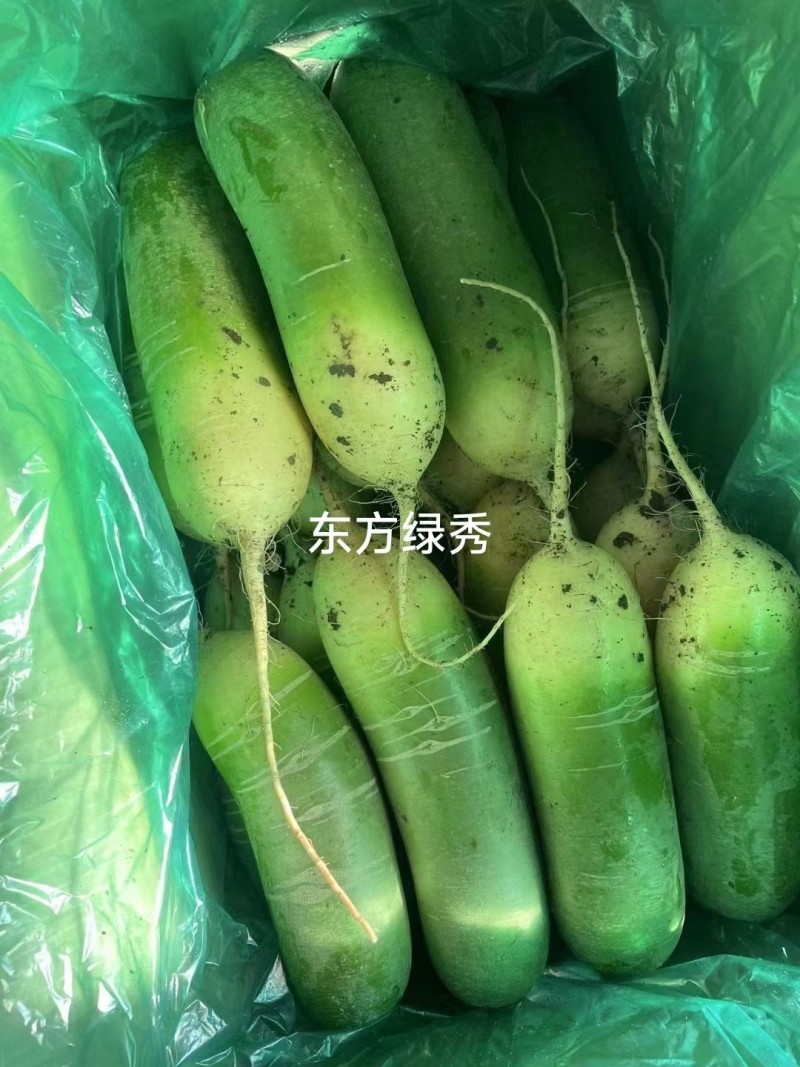 水果萝卜精品货电商货工厂货大量供应（欢迎来电洽谈合）