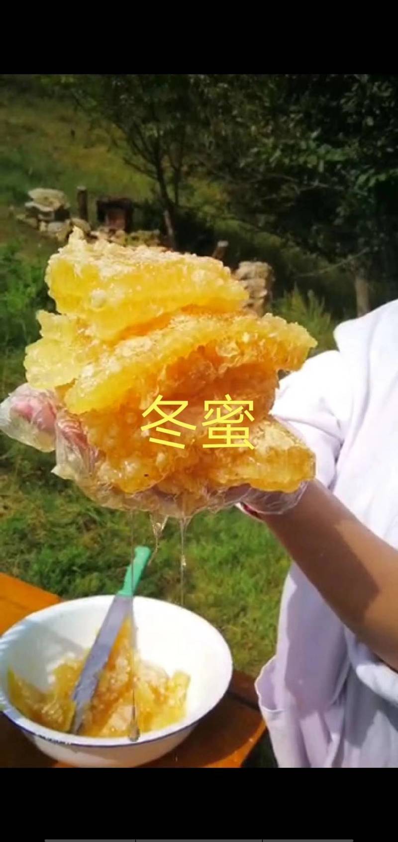 农家土蜂蜜，健康养生农户自产自销欢迎视频看货考察