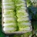 大娃娃菜【陕西娃娃菜】诚信经营，客户至上！支持视频看货