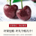 黑珍珠车厘子一件代发对接各平台电商直播包邮包售后