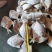 单冻鲳鱼1/2两，2/4两，3/5两，4/6两，6/9两
