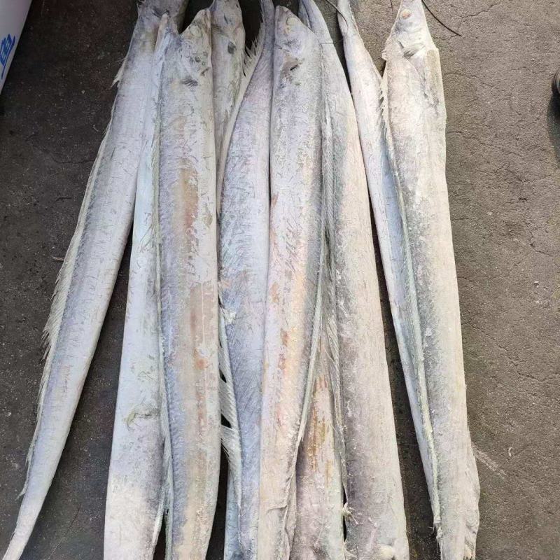 单冻带鱼2/4两，3/5两，4/6两，6/9两