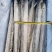 单冻带鱼2/4两，3/5两，4/6两，6/9两