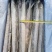 单冻带鱼2/4两，3/5两，4/6两，6/9两