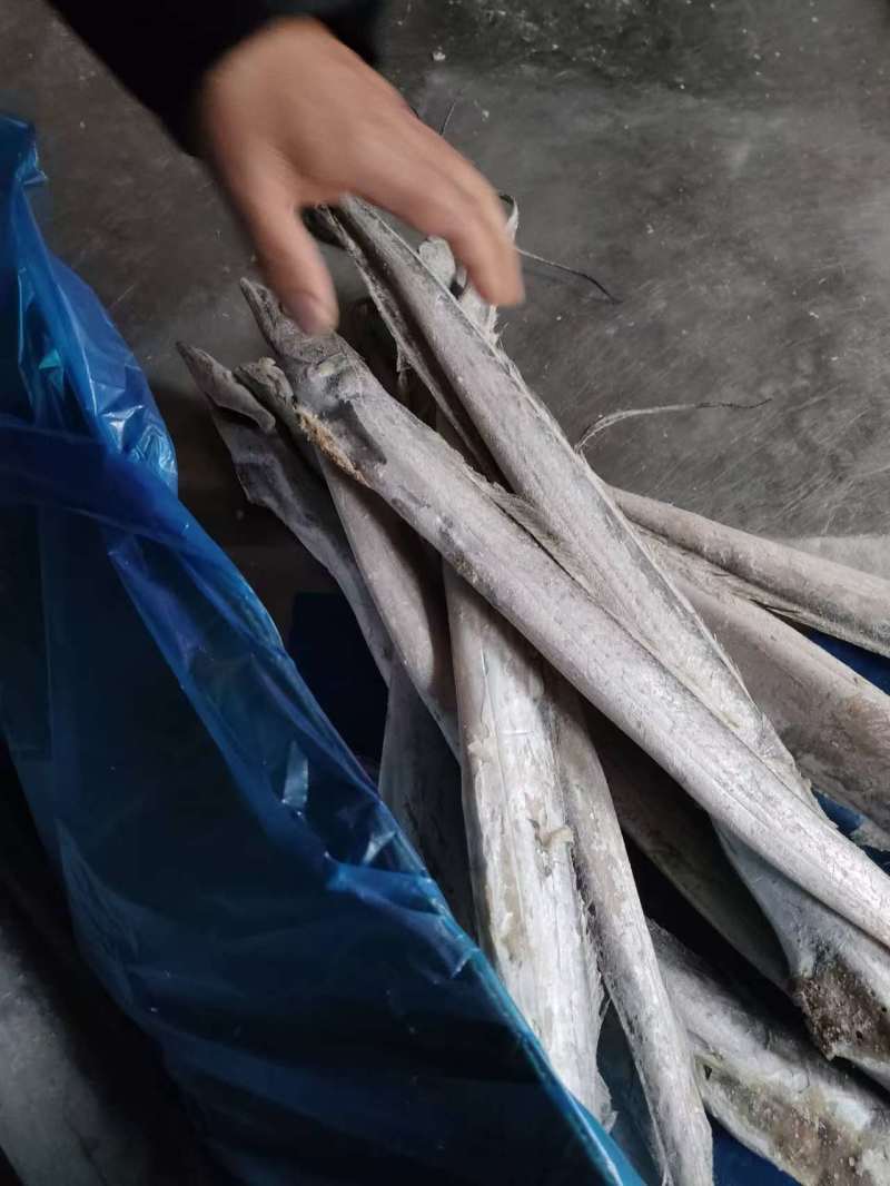 单冻带鱼2/4两，3/5两，4/6两，6/9两