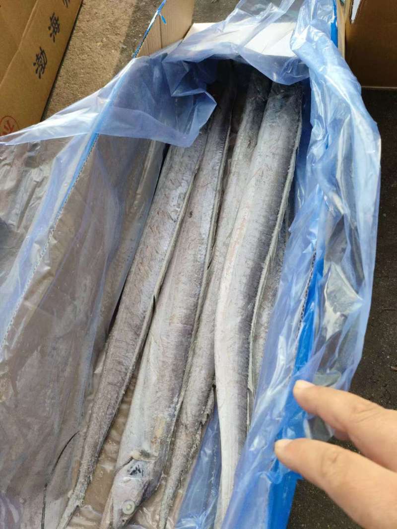 单冻带鱼2/4两，3/5两，4/6两，6/9两