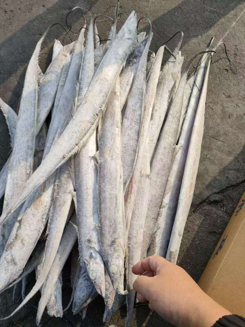 单冻带鱼2/4两，3/5两，4/6两，6/9两