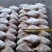 四斤板小鲳鱼，1/2两，2/3两，3/5两4/6两有货