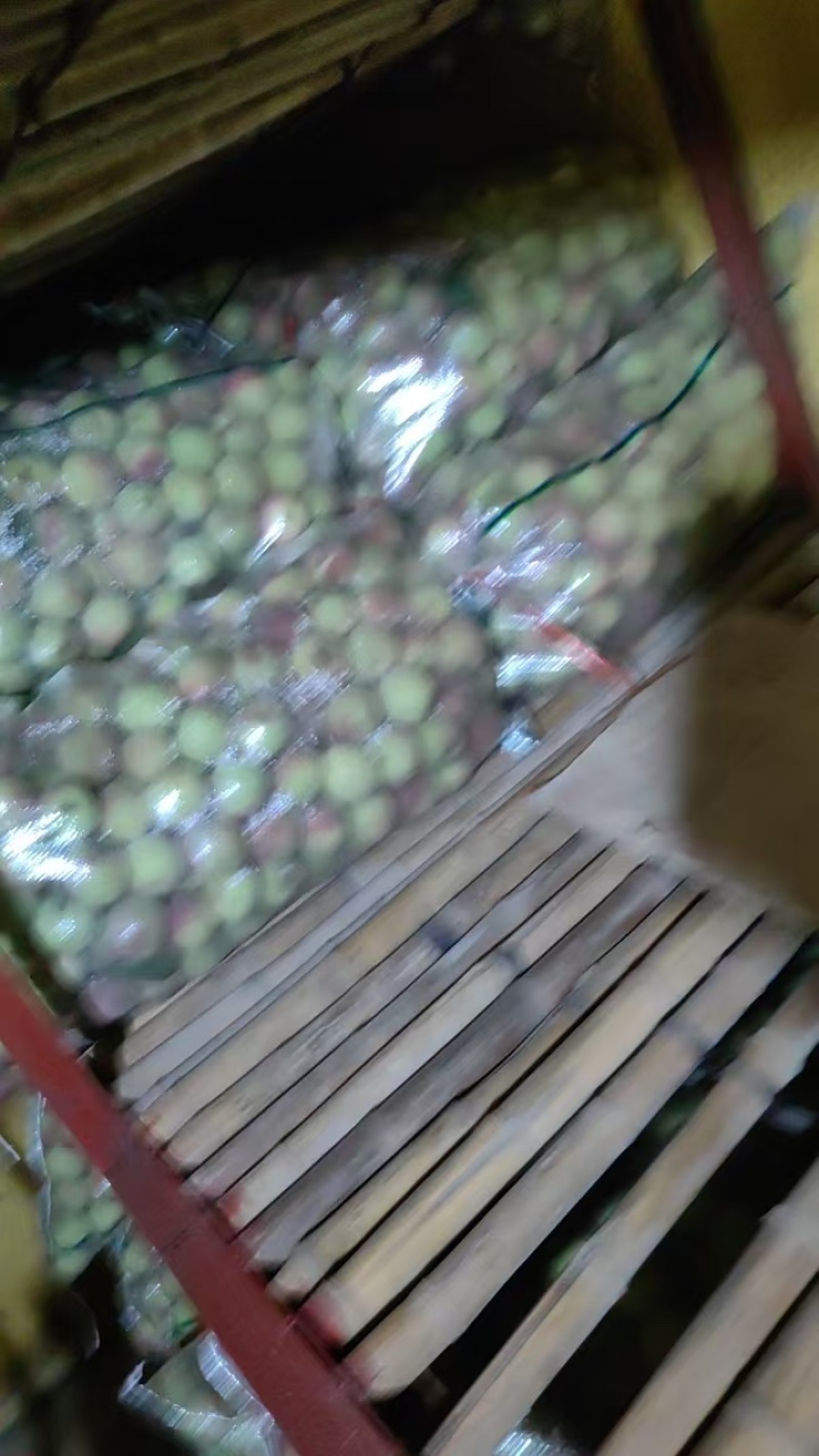 精品蜜桃，山东青州蜜桃现摘现发，口感好对接电商市场商超