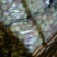 精品蜜桃，山东青州蜜桃现摘现发，口感好对接电商市场商超
