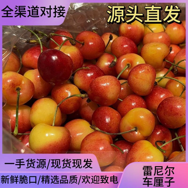 雷尼尔车厘子广州江南市场源头直发一手货源全品类全规格现货