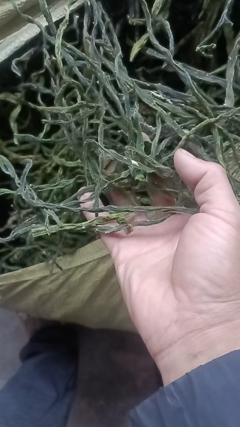 干架豆王，食堂货，电商货，精品货！