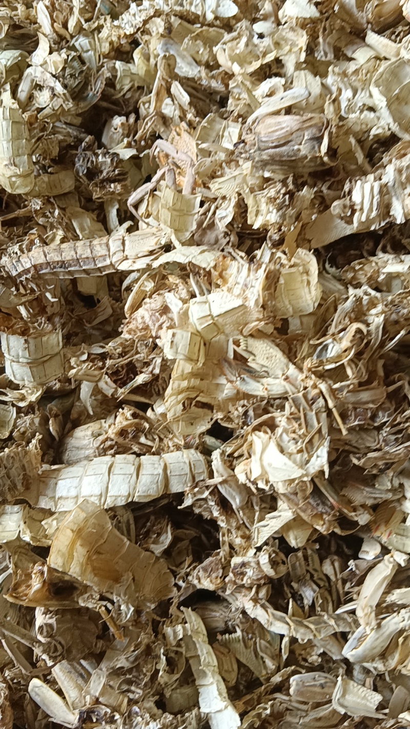 河北饲料鱼干小杂鱼海鱼干厂家直发量大从优品质保证欢迎来电