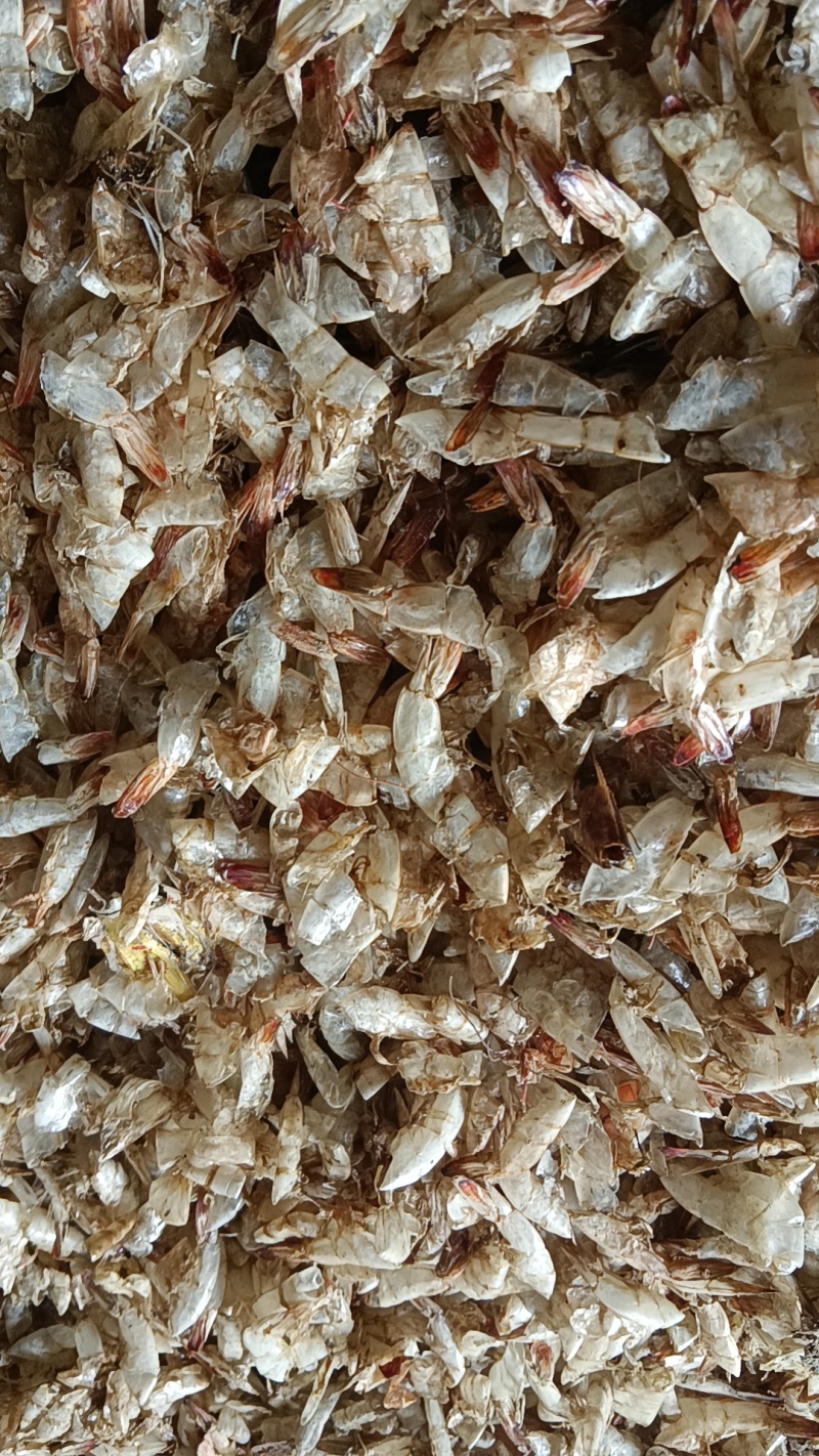河北饲料鱼干小杂鱼海鱼干厂家直发量大从优品质保证欢迎来电