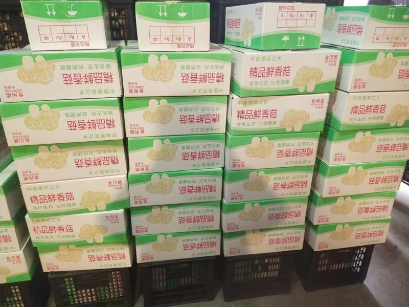 【香菇】河南香菇大量上市货源充足