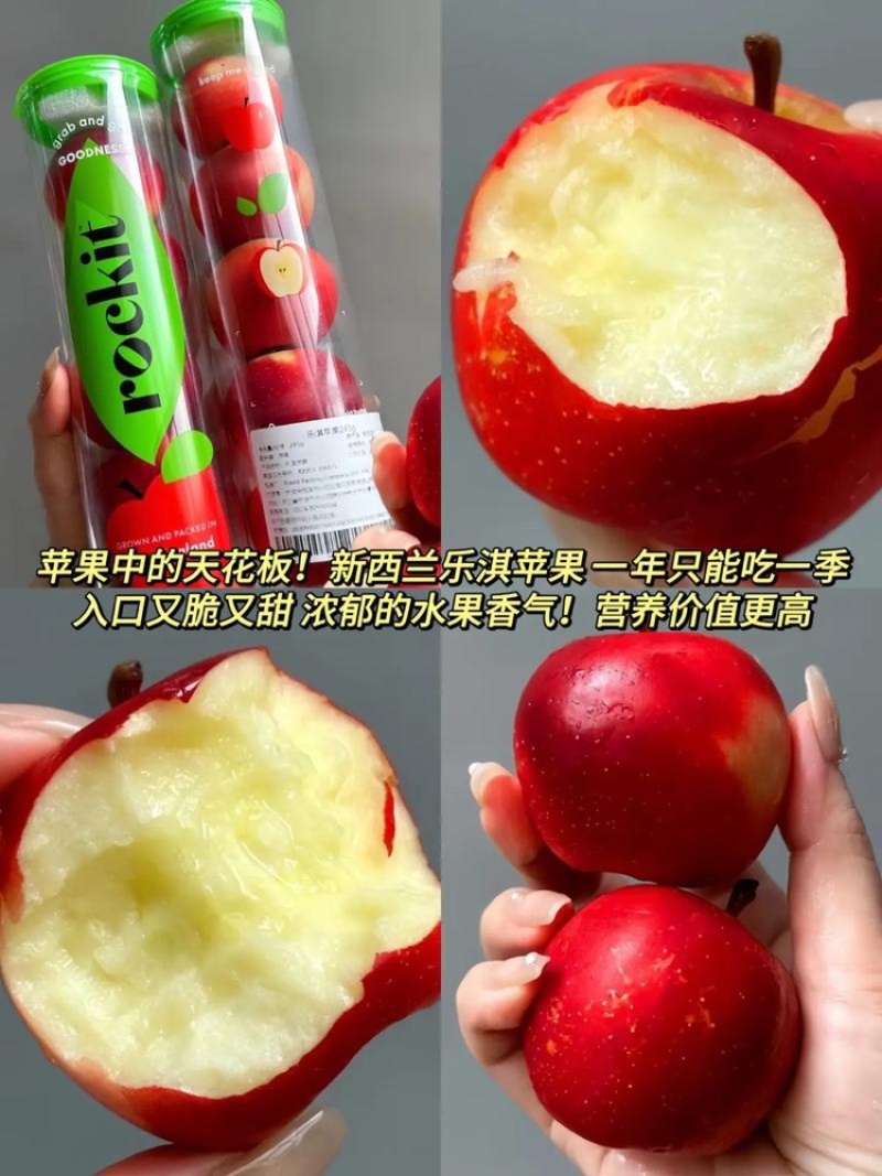 辽宁乐淇苹果苗产地品种纯火箭果苹果苗新品种